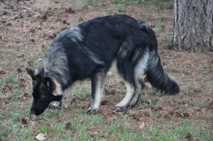 06 gena_aout 2016 447 (2)