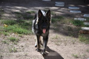 07 gena sept 2016 (7)