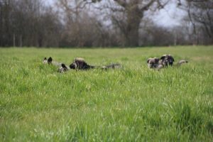 img_3918