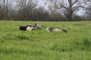 img_3921