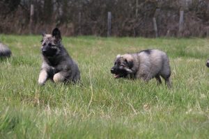 img_3967