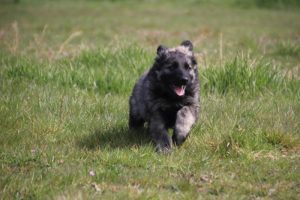 img_4001