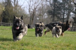 On apprend à courir vite...