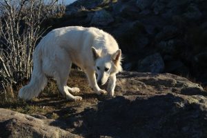 img_0341
