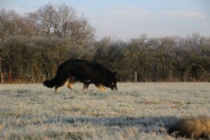 img_0647