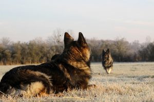 img_0648