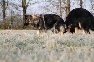 img_0762