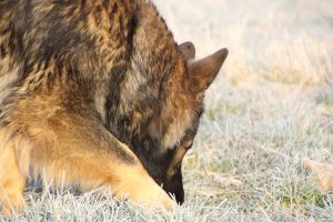 img_0779