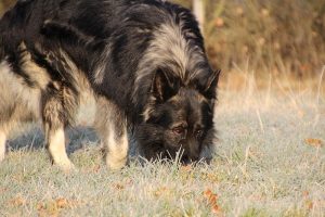 img_0880
