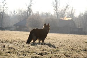 img_0940