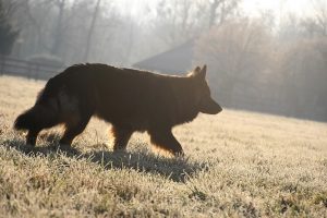 img_0951