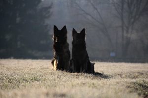 img_0986