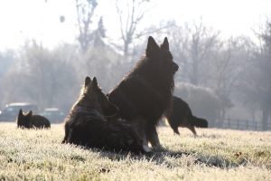 img_0987