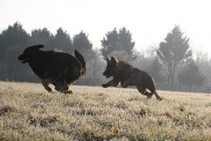 img_1014