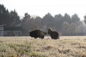 img_1015