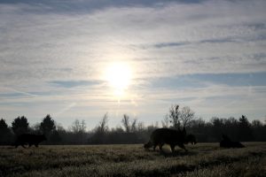 img_1029