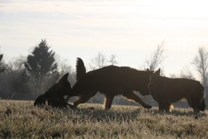 img_1034