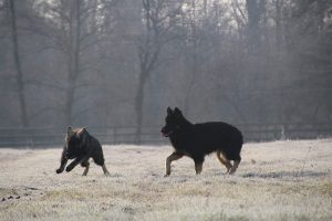 img_1039