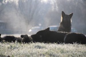 img_1049