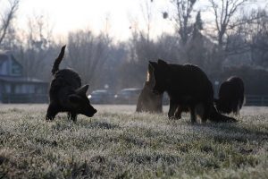 img_1057