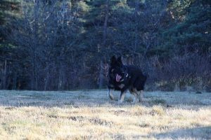 img_2276