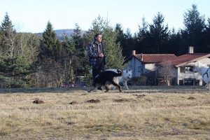 img_2277