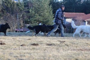 img_2296