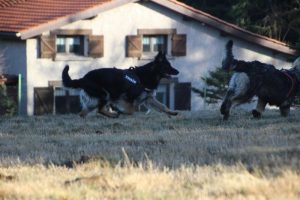 img_2320