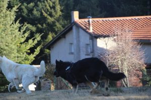img_2324