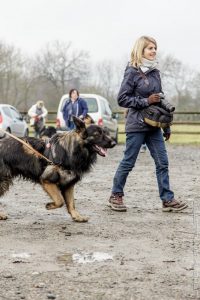 rencontre canine loire rhône alpes