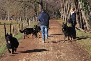 rencontre canine loire rhône alpes