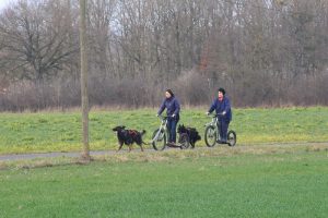 rencontre canine loire rhône alpes