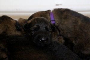IMG_3662