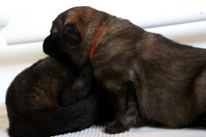 IMG_3676