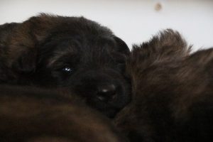 IMG_3684