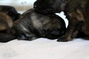 IMG_3740