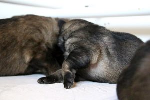 IMG_3766
