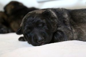 IMG_3773