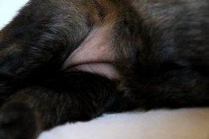 IMG_3777