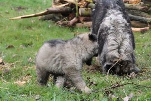 tu fais quoi maman ?