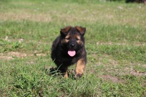 IMG_0869
