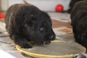 IMG_1750