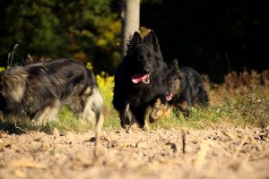 IMG_3263