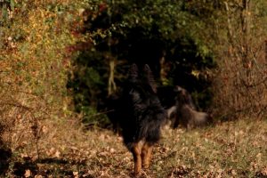 IMG_3287