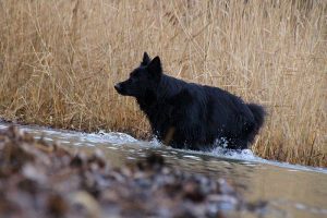 IMG_4701