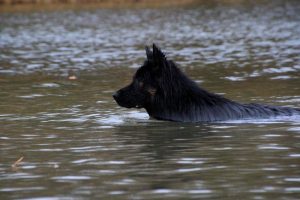 IMG_4709