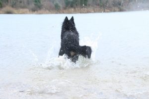 IMG_4796
