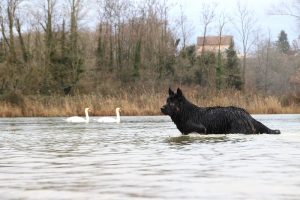 IMG_4885