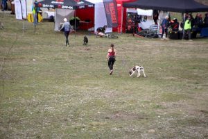 IMG_8683
