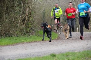 IMG_8719